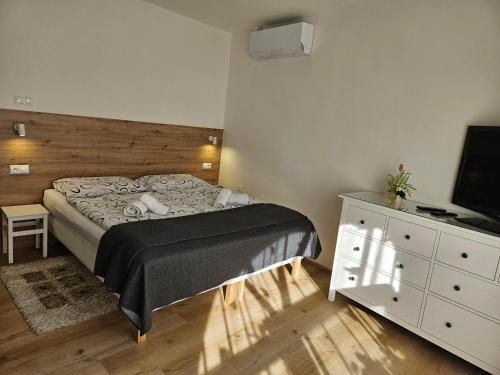 Horni Vestonice Apartment | Penzion u Studánky