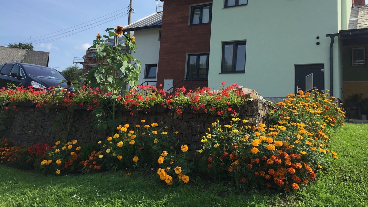 Stare Mesto Apartment | Penzion v podhůří Králického Sněžníku.