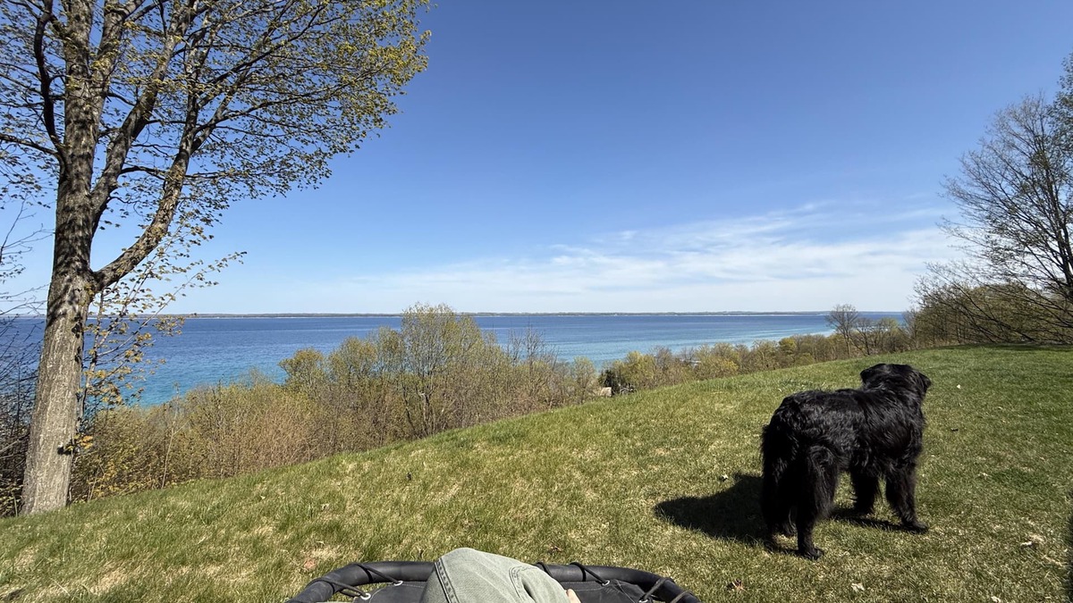 Suttons Bay House | People Welcome, Dogs and Cats Preferred