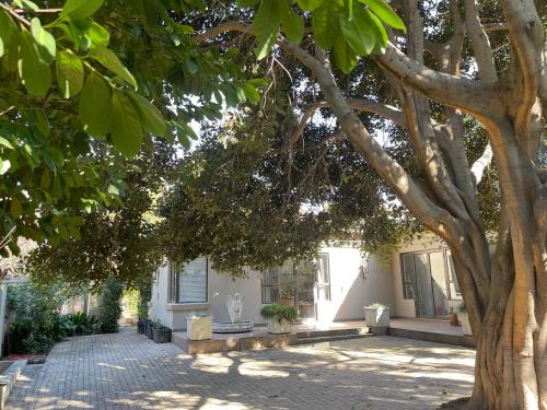 Houghton Estate House | PepperTree Guest House