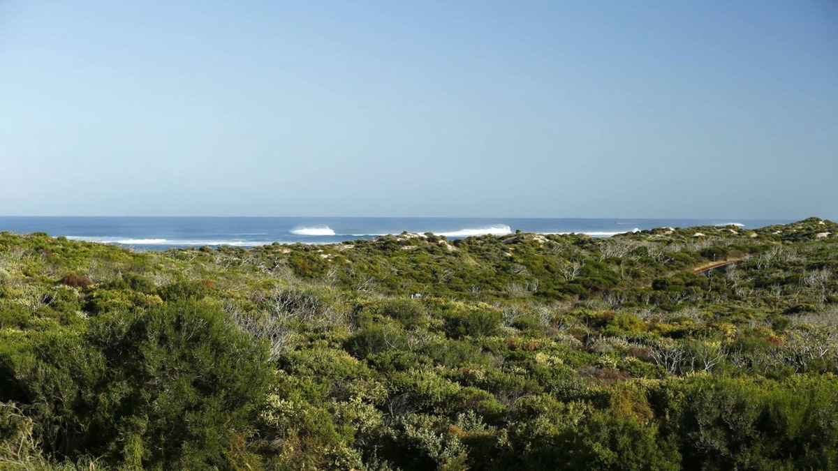 Gnarabup Apartment | Perched above Margaret River’s famous Gnarabup Beach