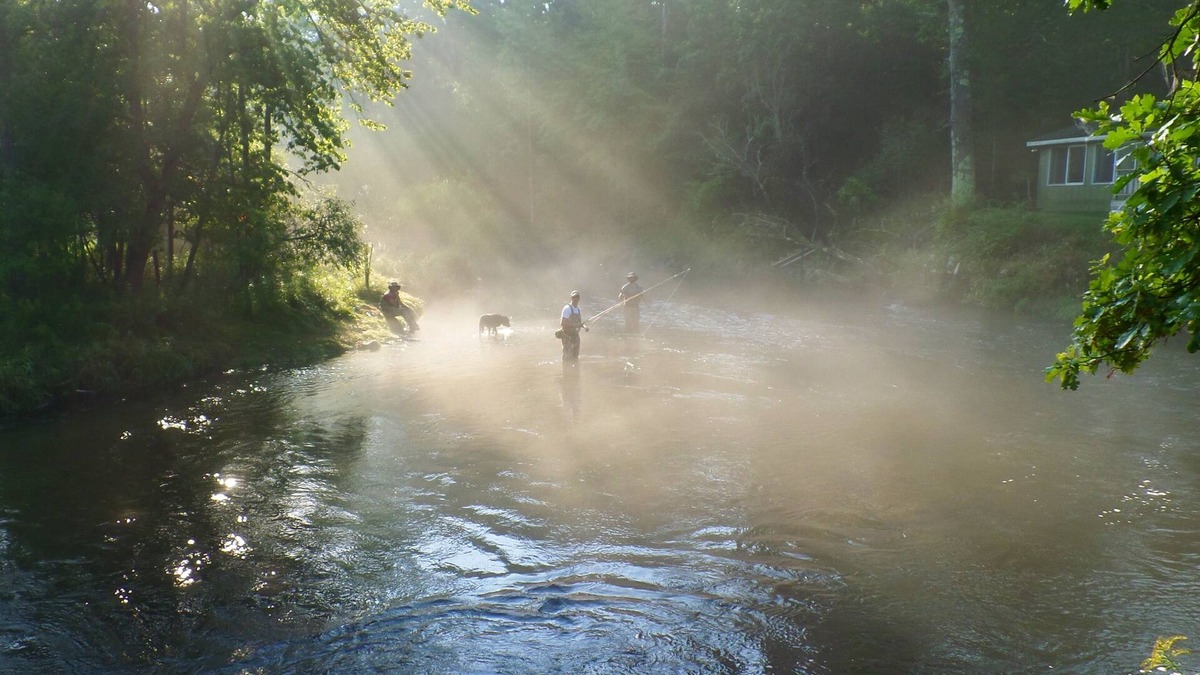 Baldwin Cabin | Pere Marquette River 'fly's Only Section' 6000 Feet Of River Frontage