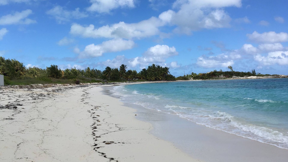 Rokers Point Apartment | Perfect Beachfront Rental with Beautiful Views!