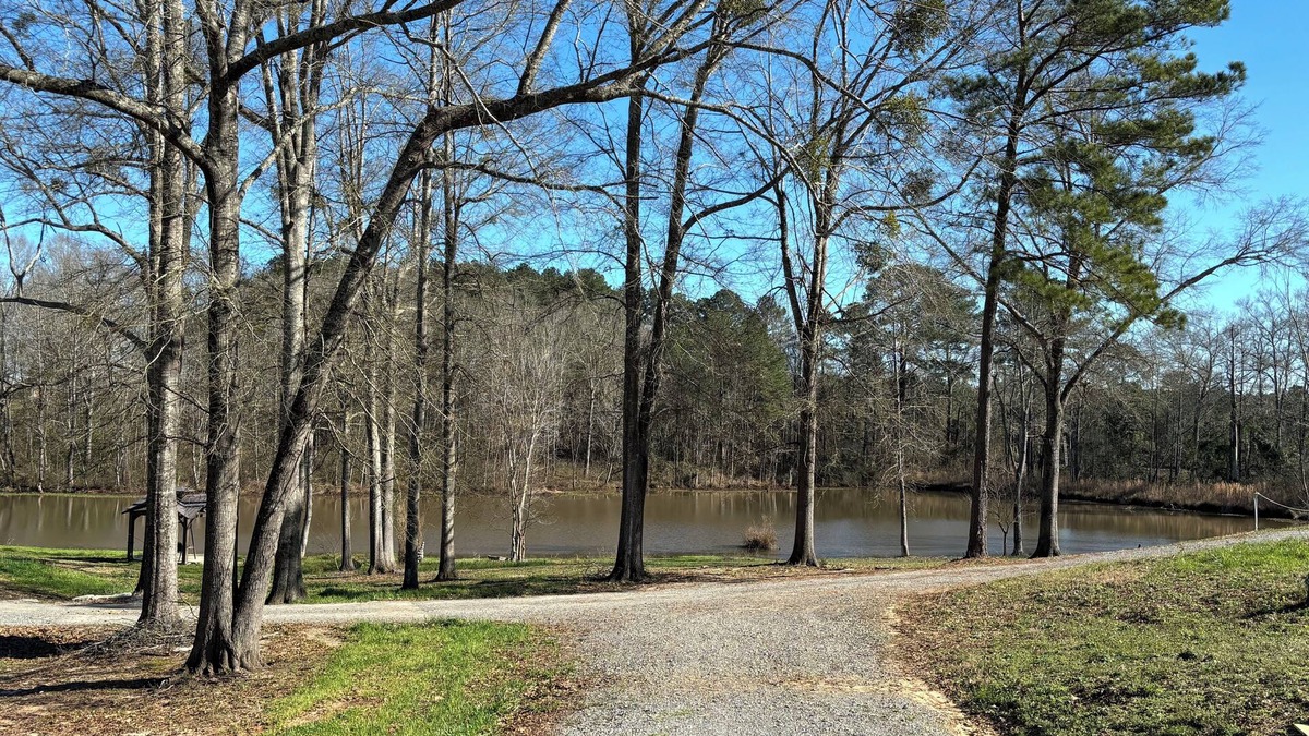 Calhoun Cabin | Perfect cabin with a pond! Peaceful place to fish, kayak or enjoy nature.