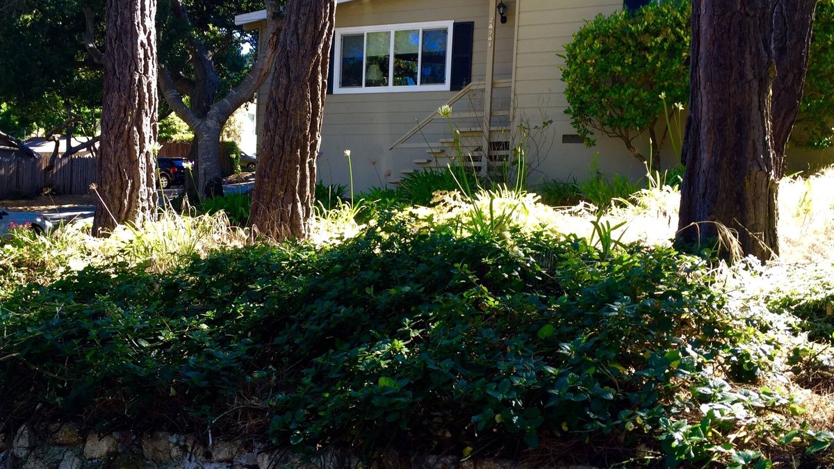 Northeast Carmel House | Perfect Carmel Retreat - Walk to Downtown