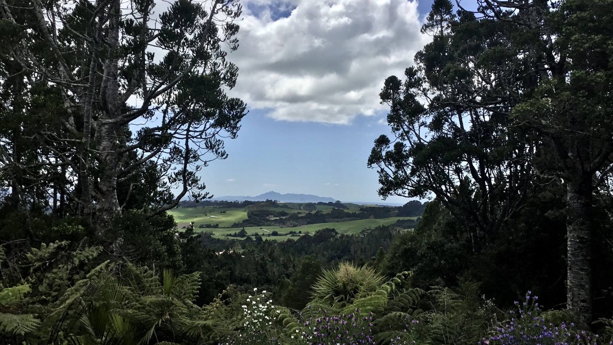 Mangawhai House | Perfect Family getaway
