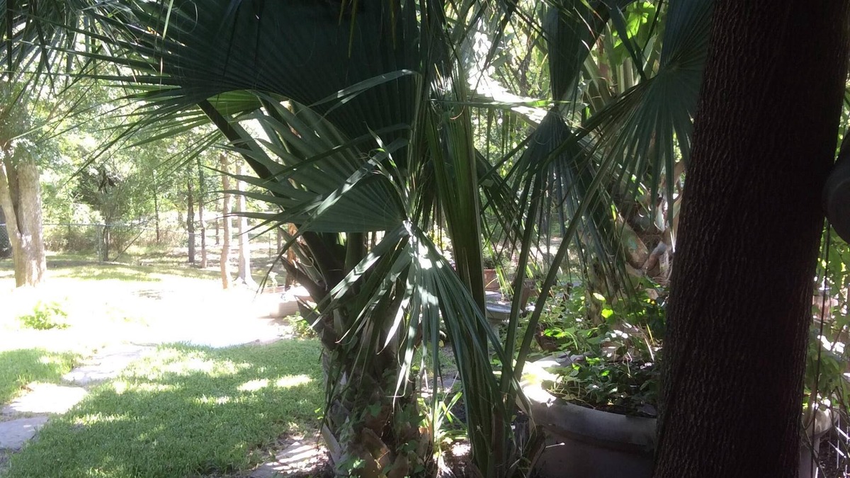 Raintree Apartment | Perfect for work or fun! 1 NIGHT RENTAL AVAILABLE!