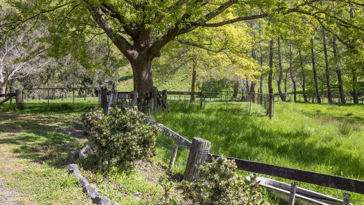 Porirua Cottage | Perfect getaway from the hustle and bustle of city life.