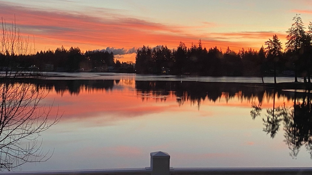 Shelton House | Perfect hideaway on a serene and peaceful lake