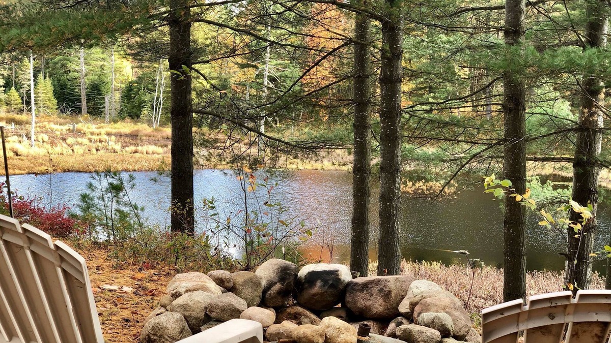 Glenfield Cabin | Perfect place to escape the human race! STONY LAKE HIDEOUT