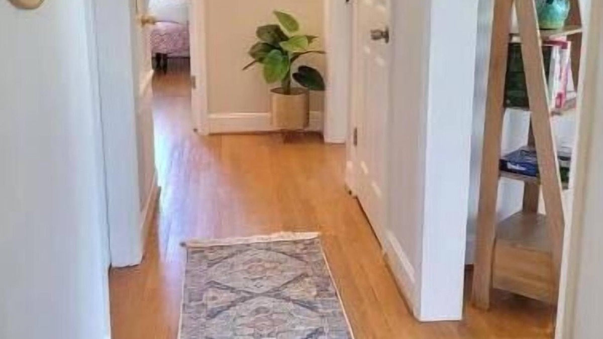 Lynchburg Apartment | Perfect Spot for Graduation! 2 Mi to LU- Renovated 2 Bed 1 Bath