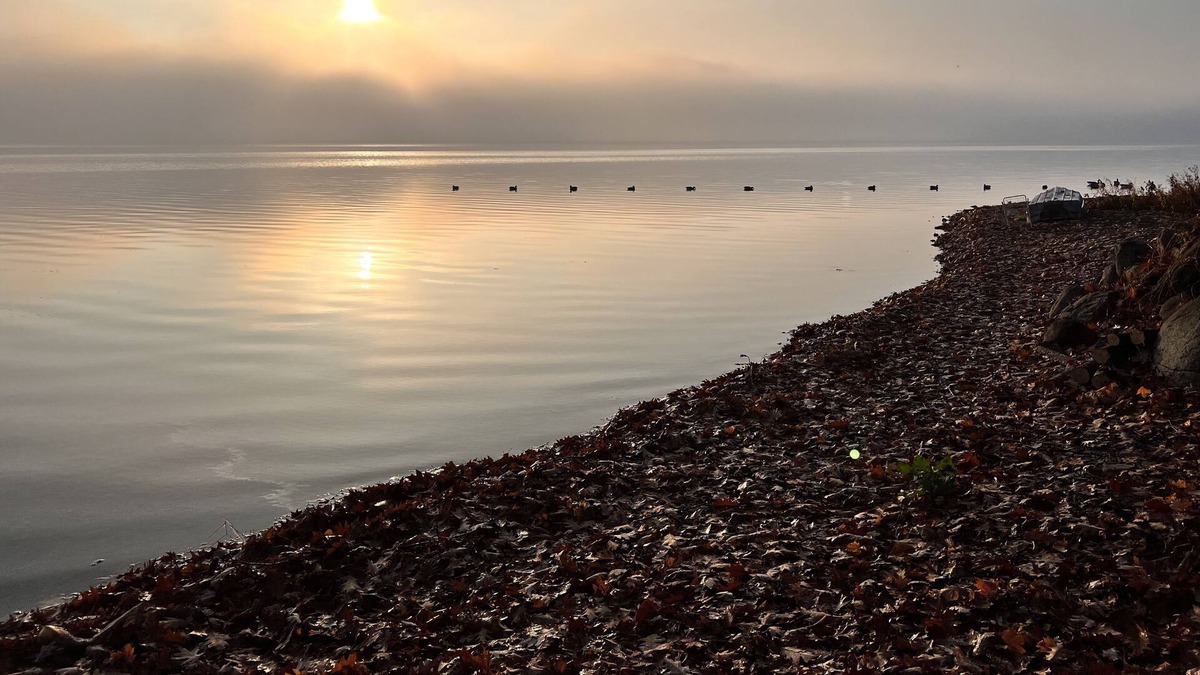 Honeoye Cottage | Perfect Sunrise Cottage on Honeoye Lake