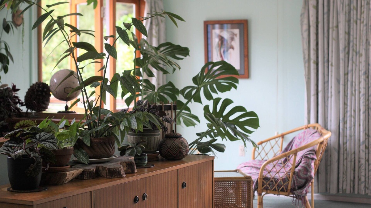 Raumati South House | Permaculture Home & Garden, Sunny, Peaceful, Family home, close to Beach & Park