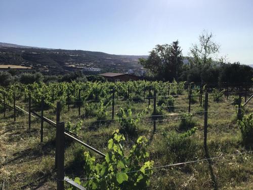 Pano Arodhes House | Pervolaris Cottages 1