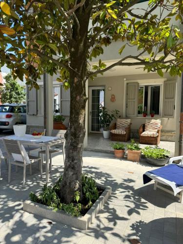 Villamarina House | Pesciolino Rosso