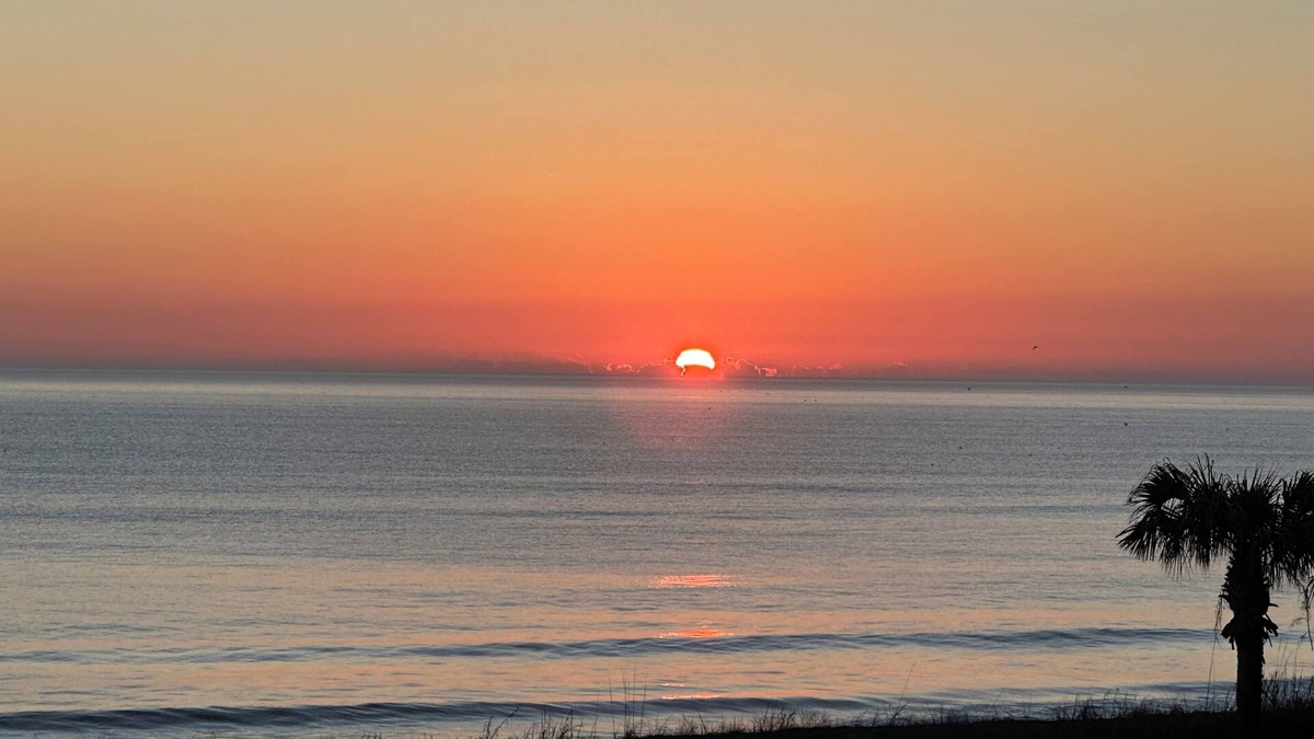 Palm Coast Condo | Pet Free/Allergy Friendly - Huge Direct Oceanfront 3BR/3BA Condo - Owner Managed