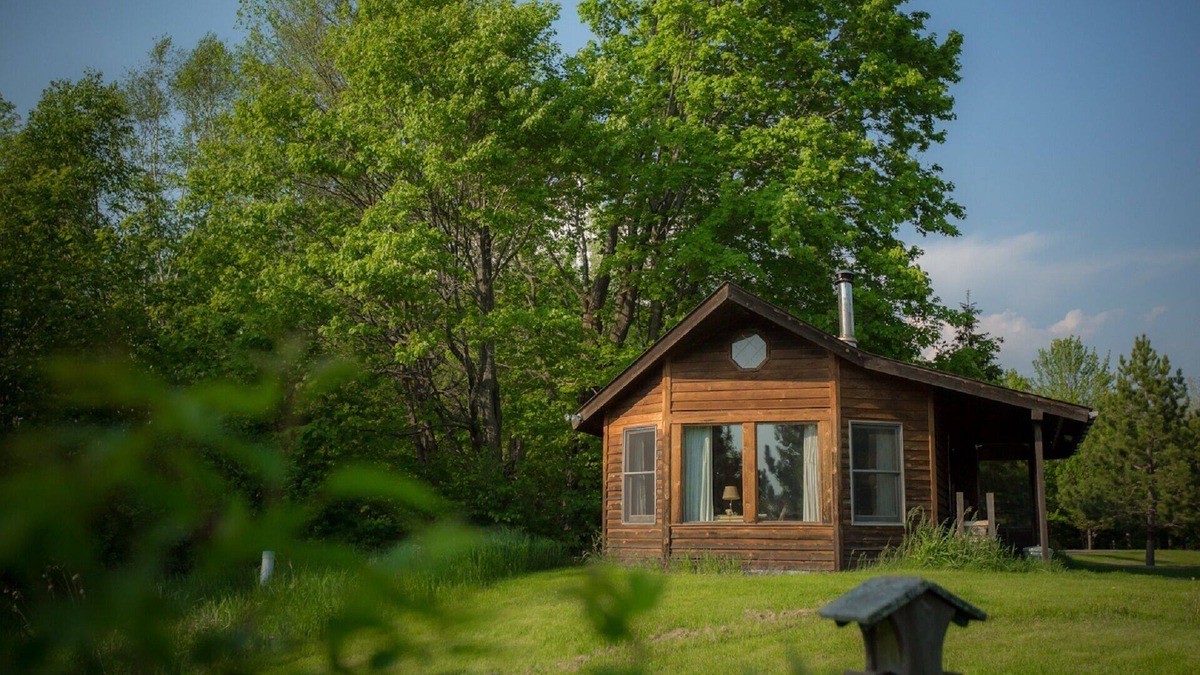 Finlayson Cabin | Pet freindly cabin in the meadows on the edge of the forest with big windows