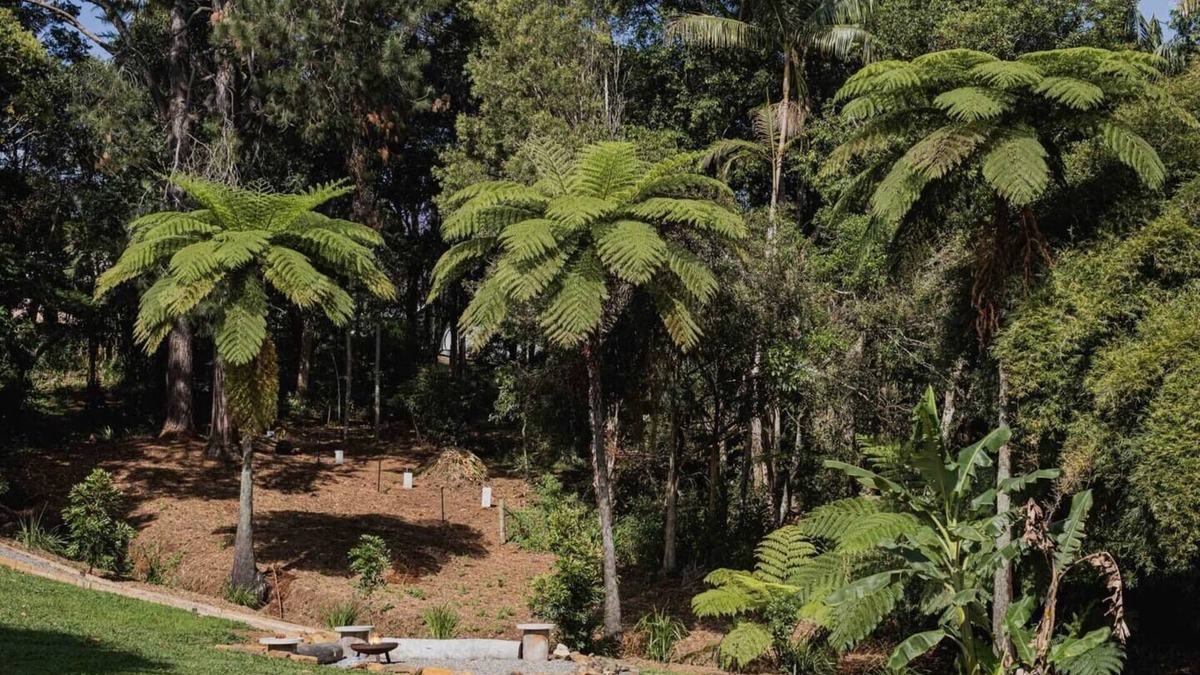 Maleny House | Pet-Friendly 2 Bed Nordic Haven Near Town & Lake