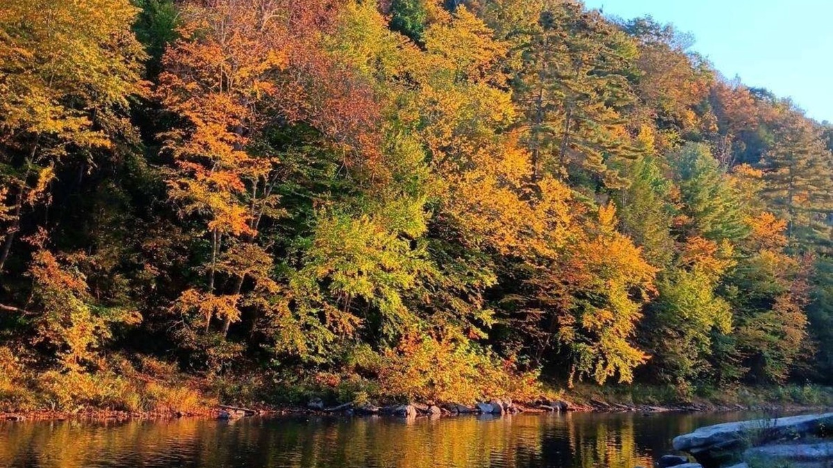 Benezette Cabin | Pet friendly 4 br home on 6.5 acres w access to swim & fishing area -sleeps 10