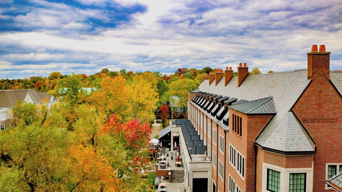 Rochester Hotel | Pet-friendly Accommodation with a Blend of Modern Comfort and Old-World Charm