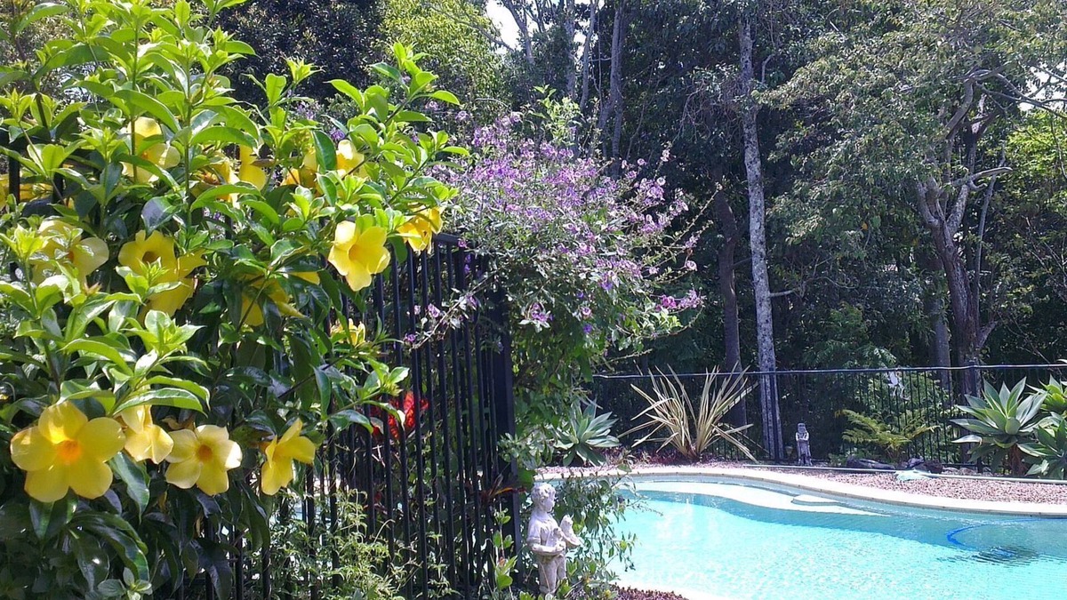 Kings Forest Apartment | Pet Friendly-Adults Only, Kingscliff, Tropical Coast Retreat, Hinterland Suite