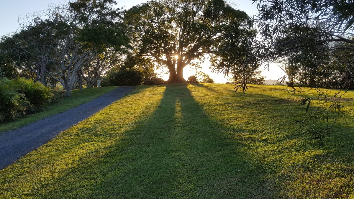 Duranbah Apartment | Pet Friendly - Adults Only, Tropical Coast Retreat, Kingscliff, Poolside Suite