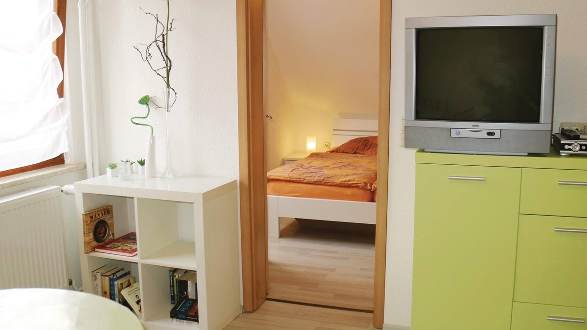 Nahetal-Waldau Apartment | Pet friendly apartment in Schleusingen