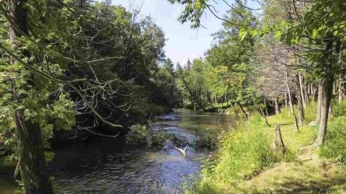 Thompsonville Cabin | Pet-Friendly, Betsie River Retreat - Sleeps 10 - Ski, Fish, and More!