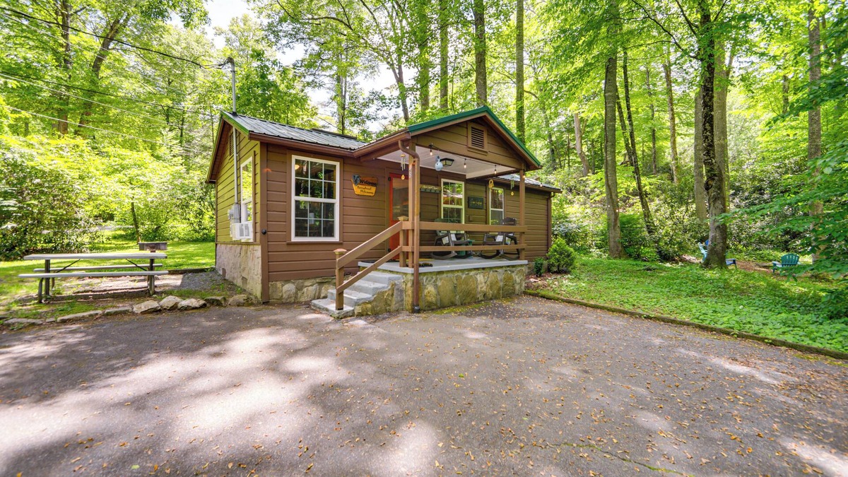 Maggie Valley Cabin | Pet-Friendly Creekside Cabin w/Pool Access!