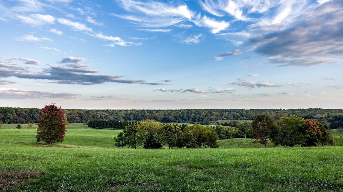 Keene Cottage | Pet-Friendly Esmont Cabin on Historic Farm