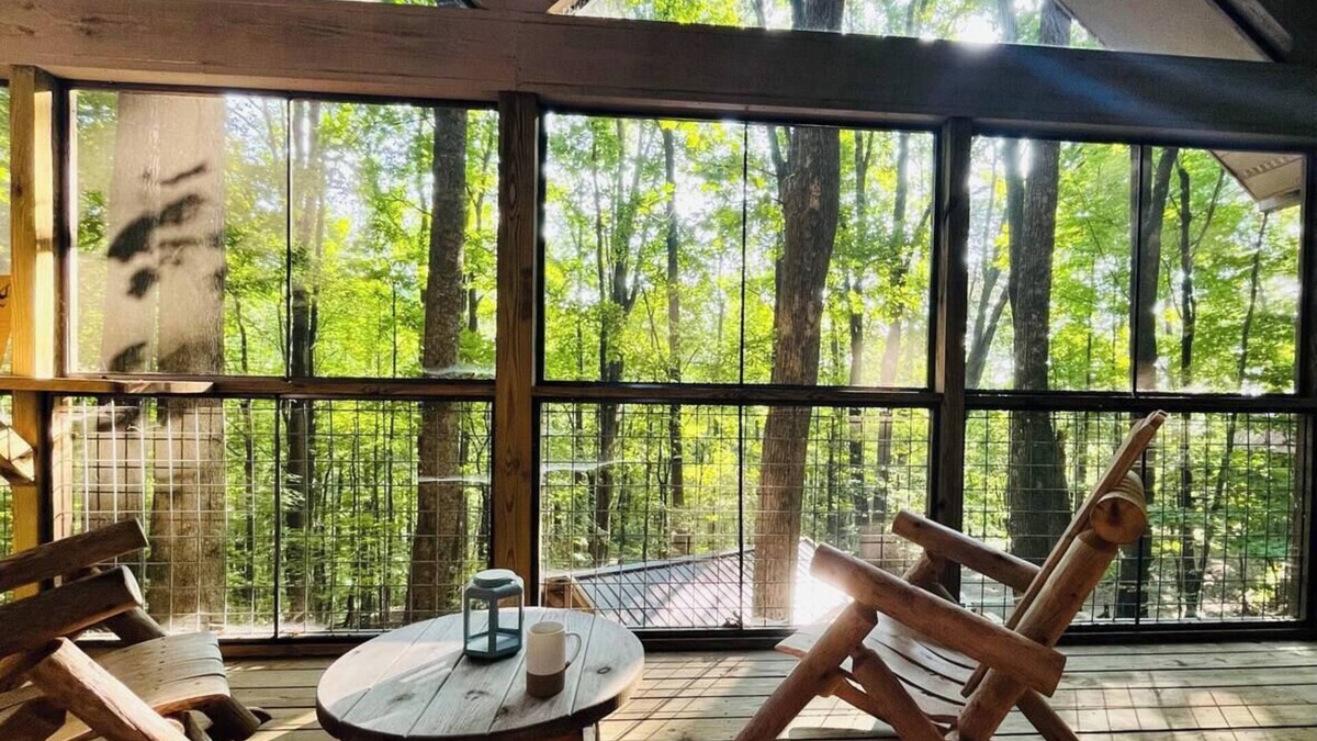 Helen Cabin | Pet Friendly, Firepit, Amazing Screened Porch