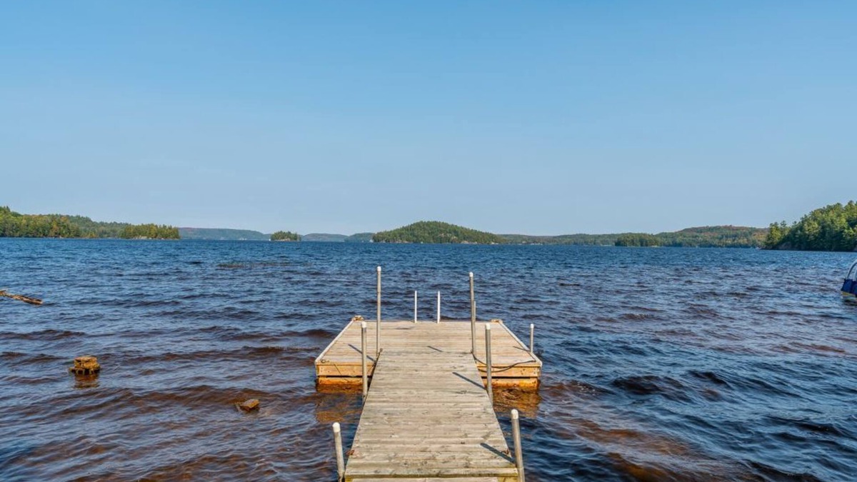 Port Sydney Cabin | Pet Friendly Fall Getaway Waterfront