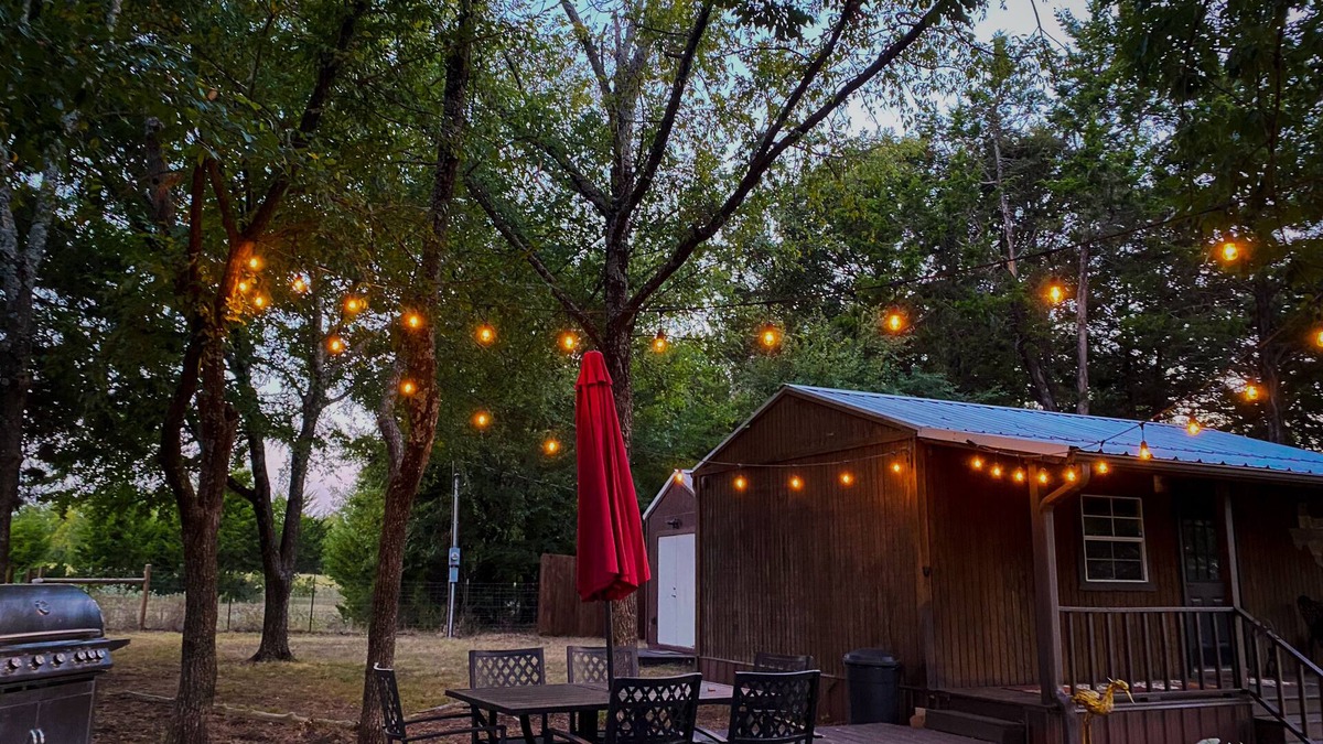Gordonville Cabin | Pet friendly including Horses with fenced yard for both, 10 minutes Lake Texoma