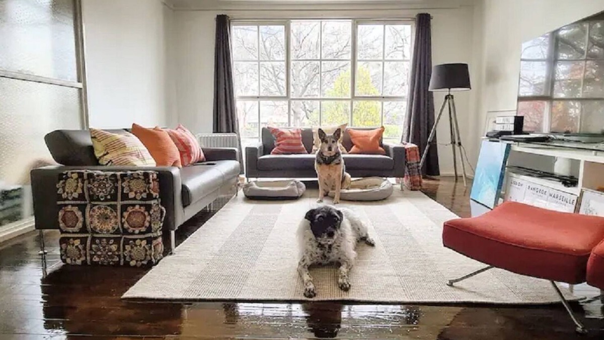 Watson House | Pet Friendly Inner City Comfort. Coffee Food Shops a 2min Walk