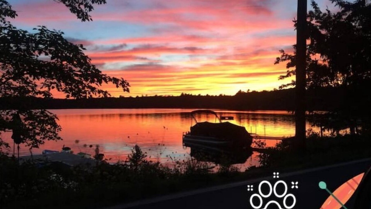 Paupack Cabin | Pet Friendly Lakefront Cabinn