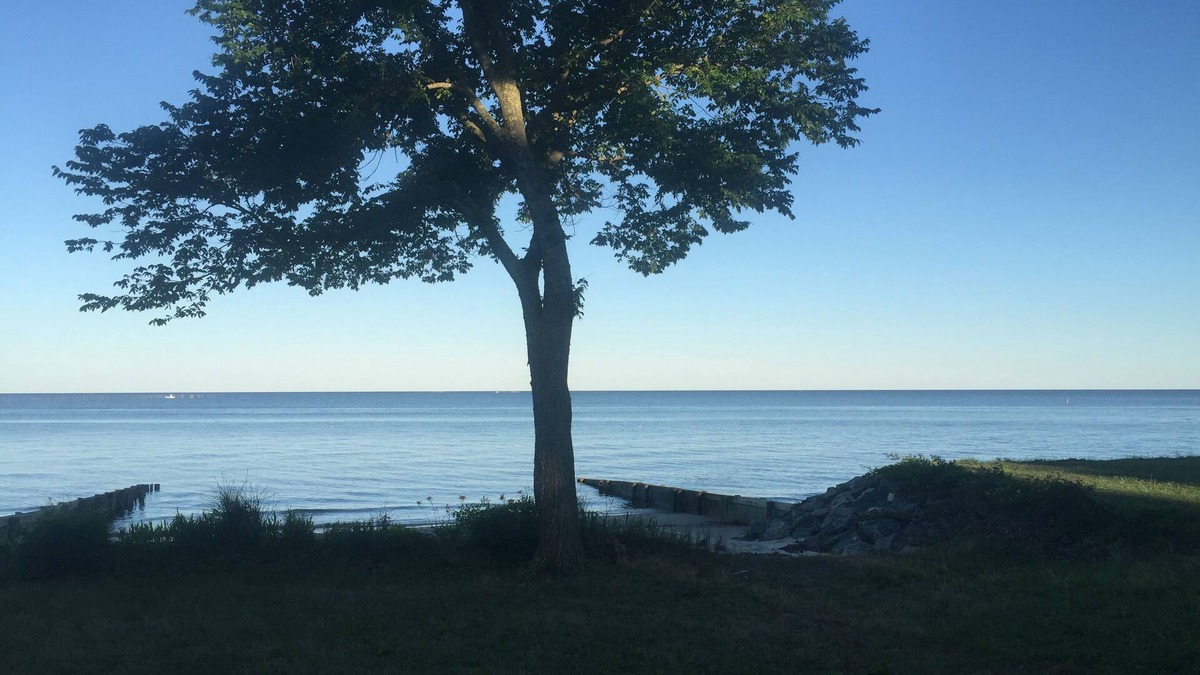 Reedville House | Pet friendly Large waterfront w private beach on three acres. Sleeps 15.