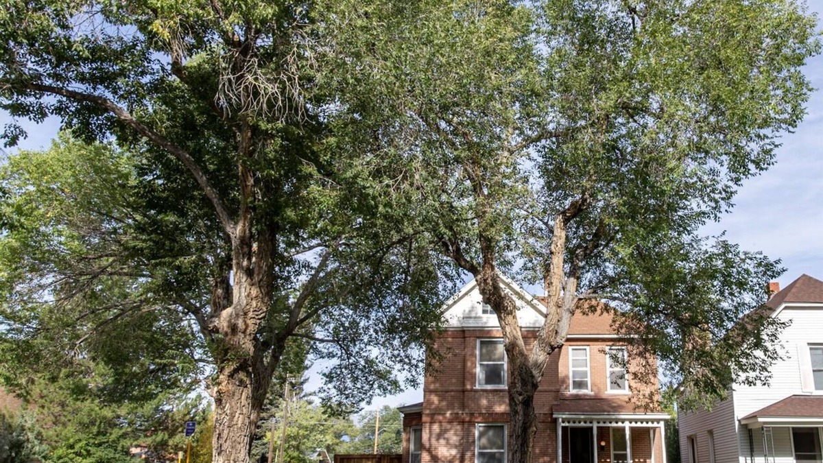 Salida House | Pet Friendly-Parkside- Downtown Salida