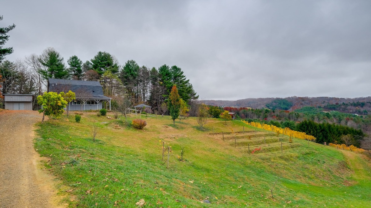 Pilot Apartment | Pet-Friendly Pilot Studio w/Vineyard Views!