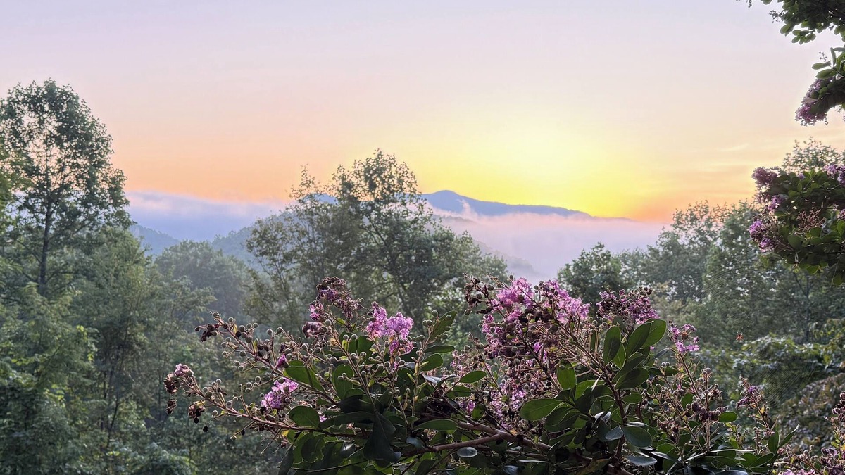 Hiawassee RV Rental | Pet friendly private Charming Bear cabin where cozy meets luxury. Mountain views