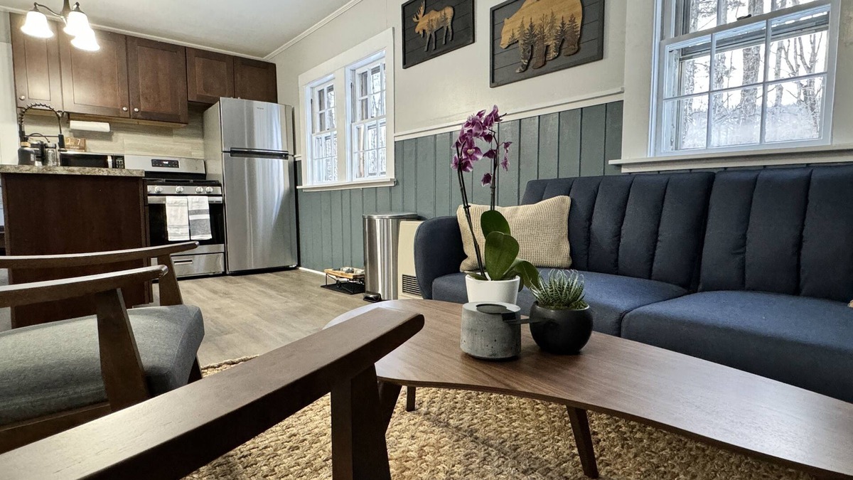 Bartlett Cottage | Pet-friendly rustic ski cottage! nNH Wooded Oasis, one mile to large Ski Resort!