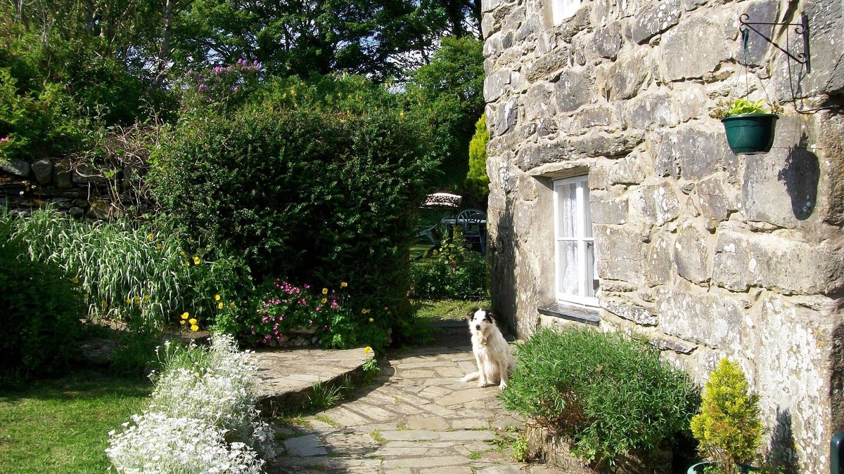 Harlech Other | Pet Friendly Self Catering Holiday, Harlech, Snowdonia.