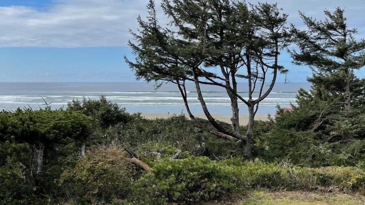 Florence House | Pet friendly, single level ocean view house - Driftwood Heights