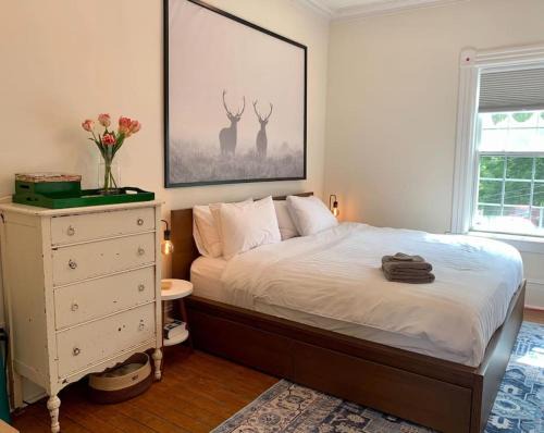 North End Apartment | Pet-Friendly Space #3 at Doggy Digs, King Bed and Office