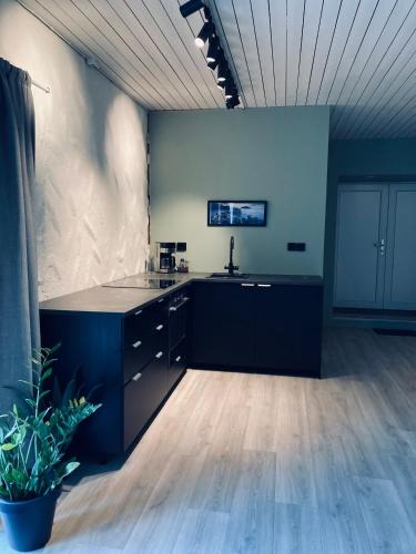 Alesund Apartment | Petersstova