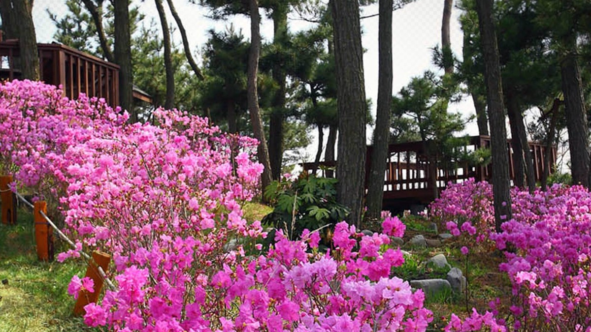 Nam House | Petit Maison Pension