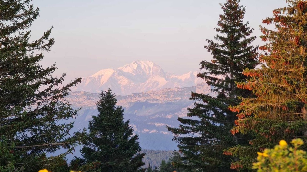 Montcel Apartment | Petit Nid Douillet au Revard – Évasion Parfaite au Cœur des Montagnes