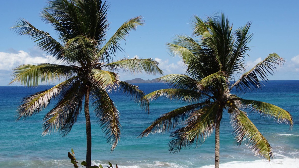 St. Patrick Hotel | Petite Anse Hotel