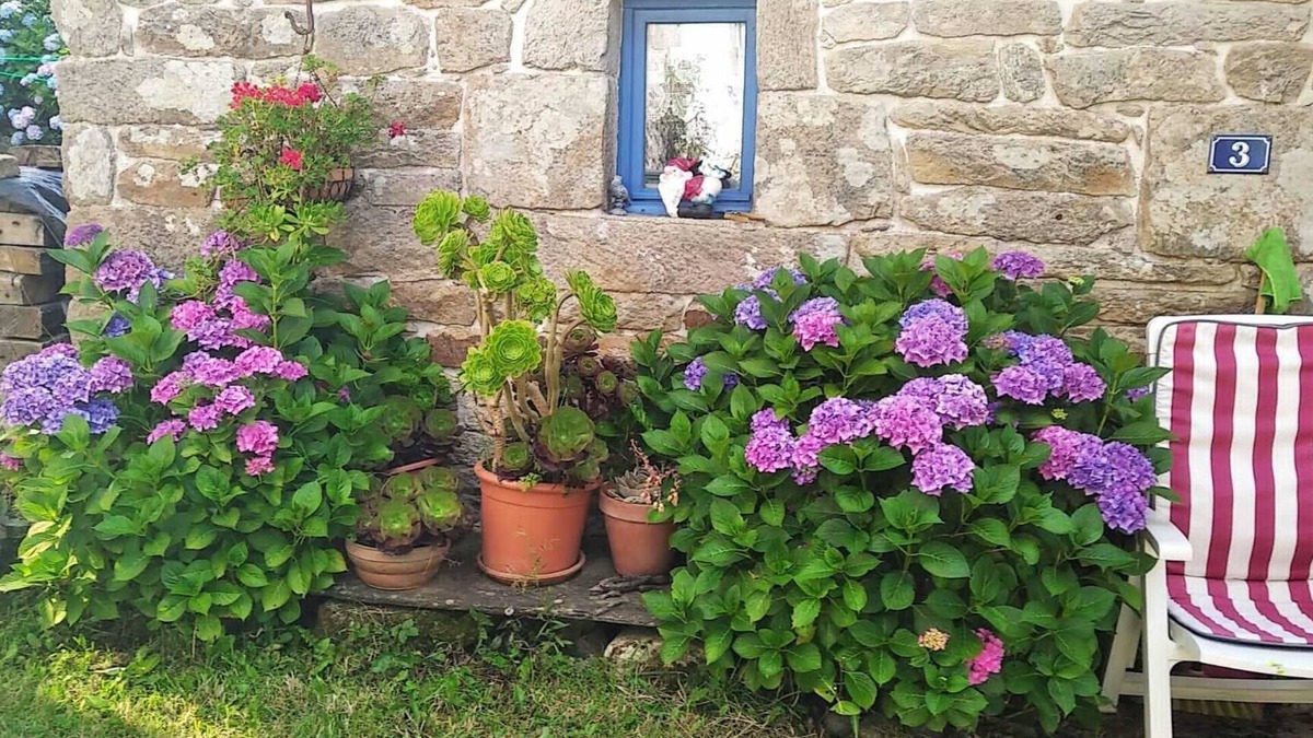 Landudal House | Petite Maison Dans Village de Campagne, à Proximité de Sentiers de Randonnées