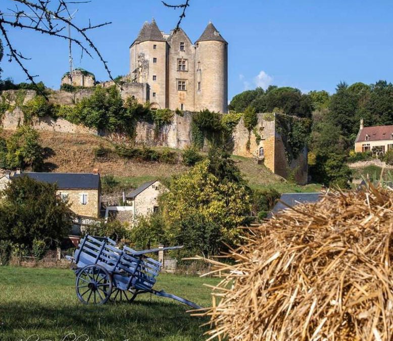 Salignac-Eyvignes House | petite maison en pierre au coeur du Périgord noir