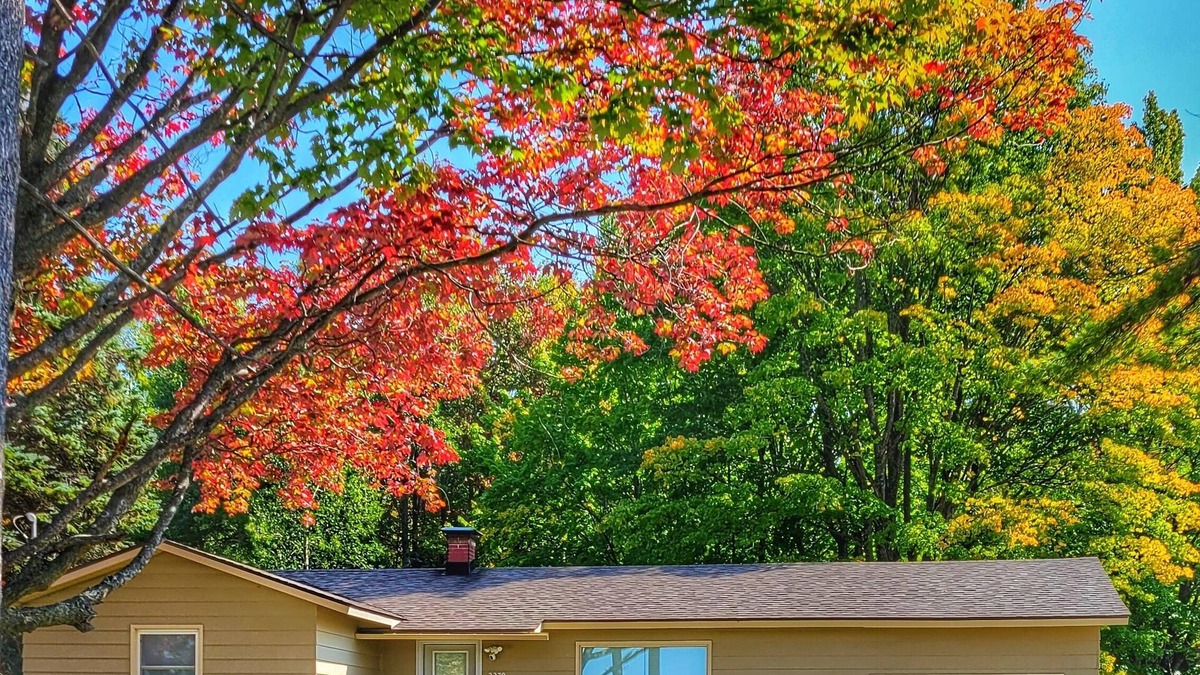 Petoskey House | Petoskey's " Stay while you Play"